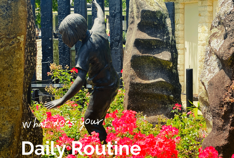 Daily Routine